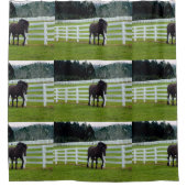 Nonesuch at Cedar Point  Duschvorhang (Vorderseite)