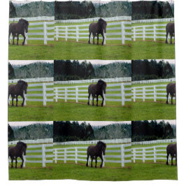 Nonesuch at Cedar Point  Duschvorhang