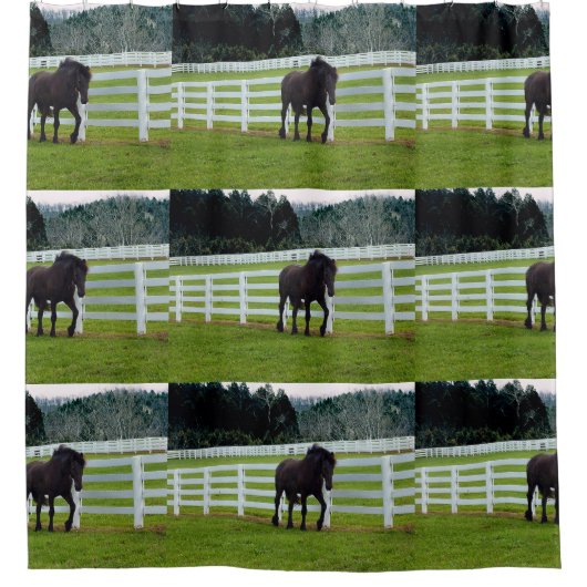 Nonesuch at Cedar Point  Duschvorhang (Vorderseite)