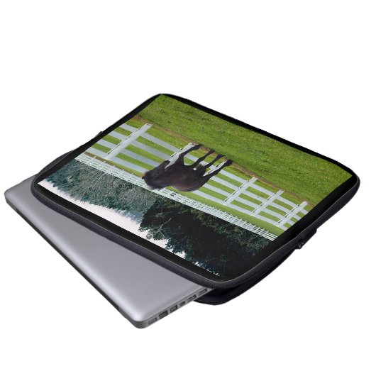 Nonesuch at Cedar Point Laptopschutzhülle (Vorne Knopf)