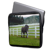 Nonesuch at Cedar Point Laptopschutzhülle (Vorderseite Links)