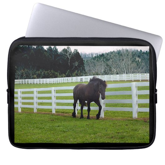 Nonesuch at Cedar Point Laptopschutzhülle (Vorderseite)