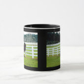 Nonesuch bei Cedar Point Tasse (Zentrum)