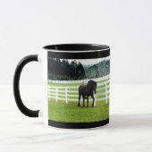 Nonesuch bei Cedar Point Tasse (Links)