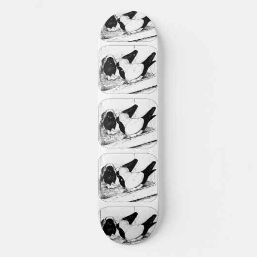 Nonnen 1980 skateboard (Vorderseite)