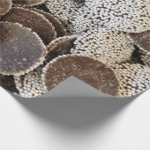 Nonpareil Candy Geschenkpapier (Ecke)