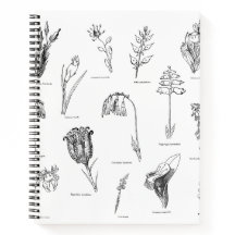 Nonsense Botany-Notebook