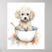 Noodle Poodle - Poster (Vorne)