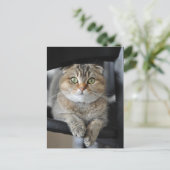 Noodles Postkarte (Stehend Vorderseite)