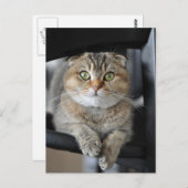 Noodles Postkarte (Vorne/Hinten)