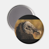 Nooks & Crannies Magnet (Vorderseite/Rückseite)