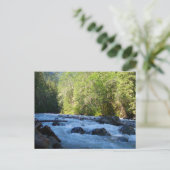 Nooksack River Postkarte (Stehend Vorderseite)