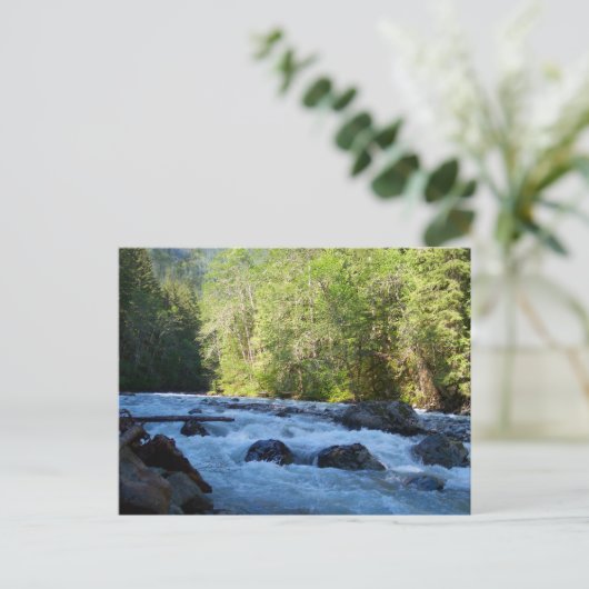 Nooksack River Postkarte (Stehend Vorderseite)