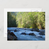 Nooksack River Postkarte (Vorne/Hinten)