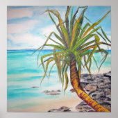 Noosa Pandanas Poster (Vorne)