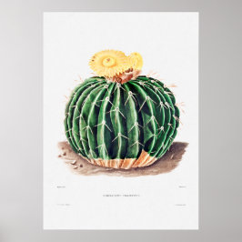 Nopal Zeichn einer Cactus Blume Cactus Pflanze Ima Poster