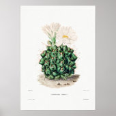 Nopal Zeichn einer Cactus Blume Cactus Pflanze Ima Poster (Vorne)