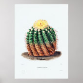 Nopal Zeichn einer Cactus Blume Cactus Pflanze Ima Poster (Vorne)