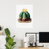 Nopal Zeichn einer Cactus Blume Cactus Pflanze Ima Poster (Heimbüro)