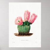 Nopal Zeichn einer Cactus Blume Cactus Pflanze Ima Poster (Vorne)