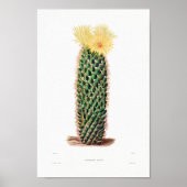 Nopal Zeichn einer Cactus Blume Cactus Pflanze Ima Poster (Vorne)