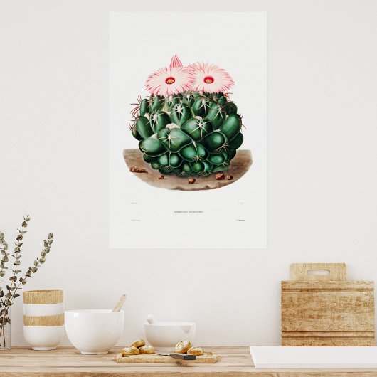 Nopal Zeichn einer Cactus Blume Cactus Pflanze Ima Poster (Küche)