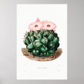 Nopal Zeichn einer Cactus Blume Cactus Pflanze Ima Poster (Vorne)