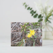 Nophis Danke You Card (Stehend Vorderseite)