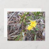 Nophis Danke You Card (Vorne/Hinten)