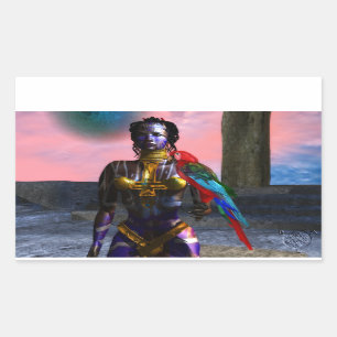 NORA CYBER WARRIOR RECHTECKIGER AUFKLEBER