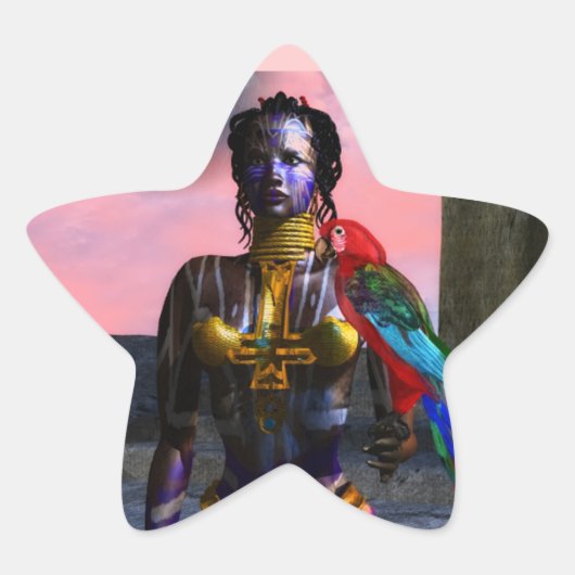 NORA CYBER WARRIOR STAR Stern-Aufkleber (Vorderseite)