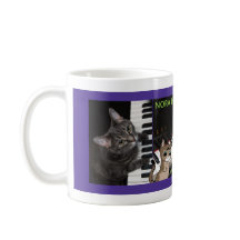 Nora die Klavierkatze