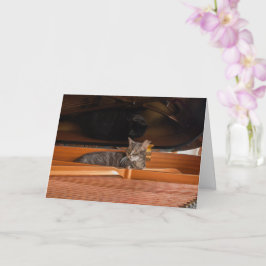 Nora The Piano Cat - Blank Folded Card - Style 003 Karte