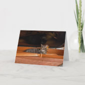 Nora The Piano Cat - Blank Folded Card - Style 003 Karte (Vorderseite)