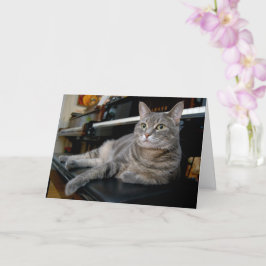 Nora The Piano Cat - Blank Folded Card - Style 005 Karte