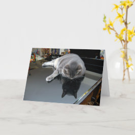 Nora The Piano Cat - Blank Folded Card - Style 006 Karte