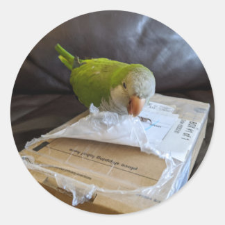 Norbert the Parrot Lieben zum Öffnen von Paketen Runder Aufkleber