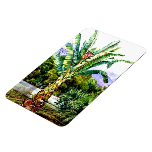 Nord-Abessinienfest im Garten Teneriffa Magnet (Linke Seite)