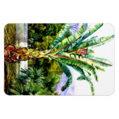 Nord-Abessinienfest im Garten Teneriffa Magnet (Horizontal)