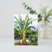Nord - Abessinienholz in einem Garten auf Teneriff Postkarte (Stehend Vorderseite)