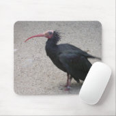 Nord-Bald-Ibis Mousepad (Mit Mouse)