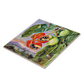 Nord - Blätter und Früchte Sterculia Parviflora Fliese (Seite)