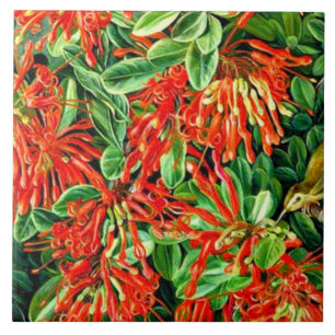 Nord - Bush und Emu Wren des Chilen verbrennen Fliese