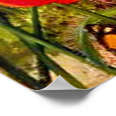 Nord - ein südafrikanischer Sundew Poster (Ecke)