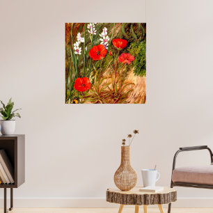 Nord - ein südafrikanischer Sundew Poster