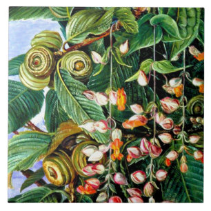 Nord - eine Darjeeling-Eiche, schöne Kunst, Fliese