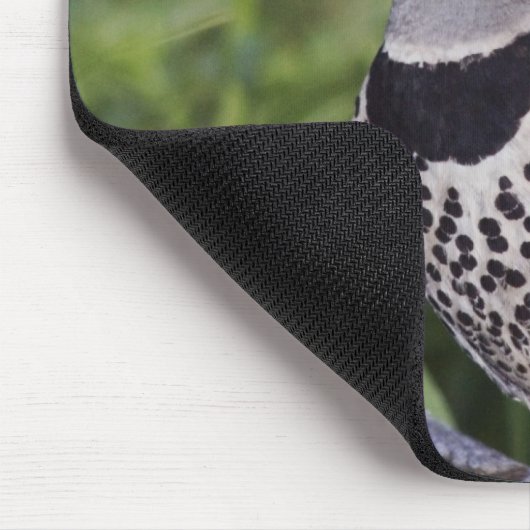 Nord-Flicker, Colaptes auratus, rot-haftet Mousepad (Ecke)