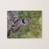 Nord-Flicker, Colaptes auratus, rot-haftet Puzzle (Horizontal)