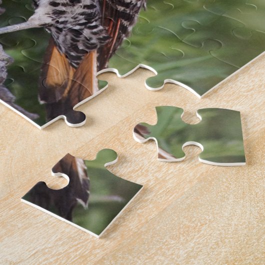 Nord-Flicker, Colaptes auratus, rot-haftet Puzzle (Seite)