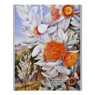 Nord - Foliage, Blume und Samenschiffe, Poster